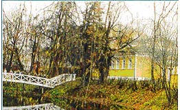Нижегородская область. Болдино. 