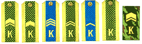 погоны курсанта погоны курсанта